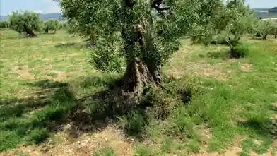 Działka komercyjna na sprzedaż, Chalkidiki, Poligiros, Chalkidiki