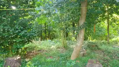Commercial Plot for sale, Magnesia, Tsagkarada