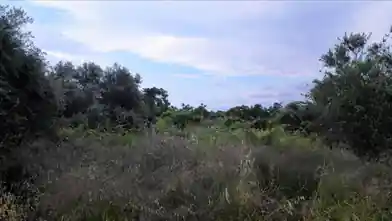 Commercial Plot for sale, Chania, Vamvakopoulo, Chania