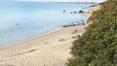 Commercial Plot for sale, Chalkidiki, Ormilia, Chalkidiki