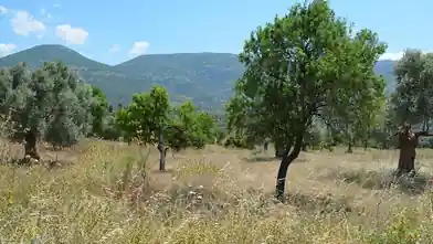 Commercial Plot for sale, Euboea, Amarynthos