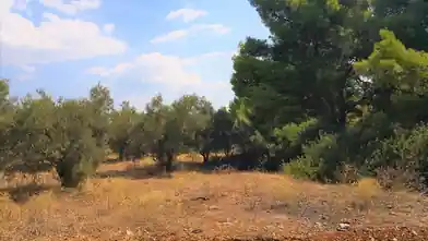 Առևտրային հողամաս վաճառքիChalkidikiում, Ormiliaում, Chalkidikiում