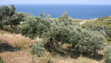 Commercial Plot for sale, Euboea, Eretria, Evia
