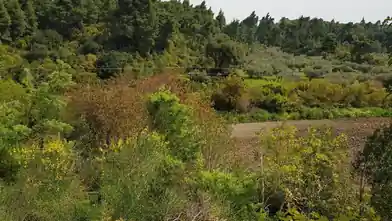Commercial Plot for sale, Halkidiki, Halkidiki