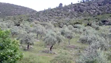 Commercial Plot for sale, Thasos Regional Unit, Thasos, Thasos Regional Unit