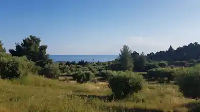 Działka komercyjna na sprzedaż, Jednostka regionalna Attyka Wschodnia, Palini, Chalkidiki