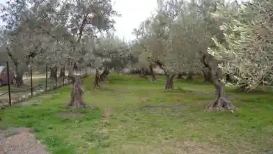 Commercial Plot for sale, Halkidiki, Yerakini, Halkidiki