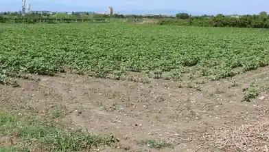Առևտրային հողամաս վաճառքիՊիերիաում, Korinosում, Pieriaում