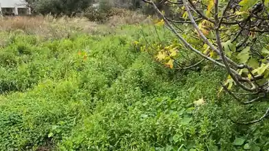 Commercial Plot for sale, Chania, Daratsos, Chania