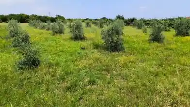 Առևտրային հողամաս վաճառքիՊիերիաում, East Olymposում, Pieriaում