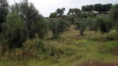 Commercial Plot for sale, Halkidiki, Halkidiki