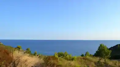 Commercial Plot for sale, East Attica Regional Unit, Municipality of Pallini, Chalkidiki