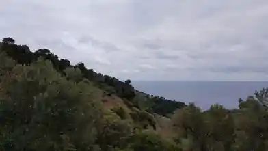 Działka komercyjna na sprzedaż, Jednostka regionalna Attyka Wschodnia, Palini, Chalkidiki