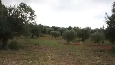 Działka komercyjna na sprzedaż, Halkidiki, Sithonia, Halkidiki