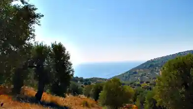 Commercial Plot for sale, East Attica Regional Unit, Municipality of Pallini, Chalkidiki