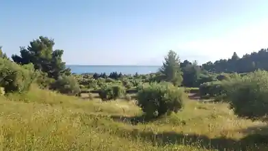 Działka komercyjna na sprzedaż, Jednostka regionalna Attyka Wschodnia, Palini, Chalkidiki