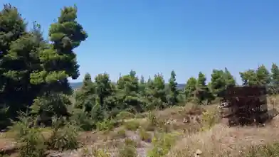 Εμπορικό οικόπεδο προς πώληση, Χαλκιδική, Χαλκιδική