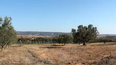 Commercial Plot for sale, Chalkidiki, Triglia, Chalkidiki