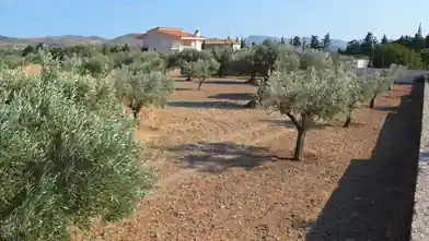 Commercial Plot for sale, Anatoli Attiki, Keratea