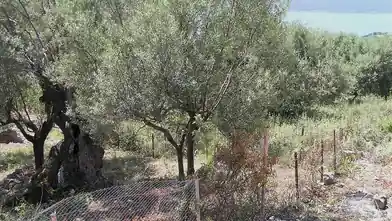 Commercial Plot for sale, Lefkada, Kalamos, Lefkada