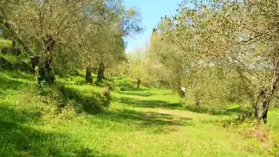 Commercial Plot for sale, Kerkira, Kokkinogia, Kerkira