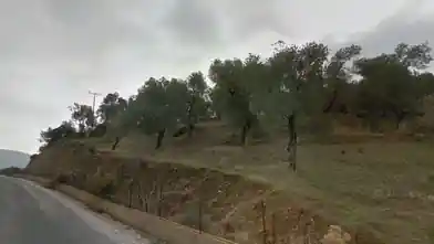Commercial Plot for sale, Lesbos, Gera