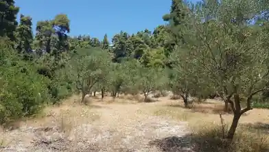 Commercial Plot for sale, Chalkidiki, Moles Kalives, Chalkidiki