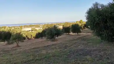 Commercial Plot for sale, Ilia, Zacharo, Ilia