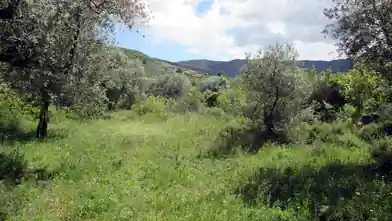 Commercial Plot for sale, Thasos Regional Unit, Thasos, Thasos Regional Unit