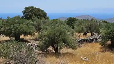 Działka komercyjna na sprzedaż, Lasithi, Agios Nikolaos