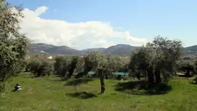 Działka komercyjna na sprzedaż, Jednostka regionalna Tasos, Tasos, Jednostka regionalna Thasos