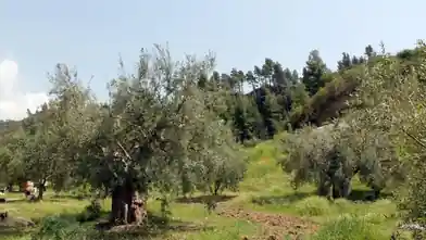 Commercial Plot for sale, East Attica Regional Unit, Municipality of Pallini, Chalkidiki