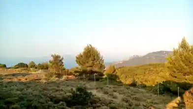 Commercial Plot for sale, Anatoliki Attiki, Agii Apostoli, Anatoliki Attiki