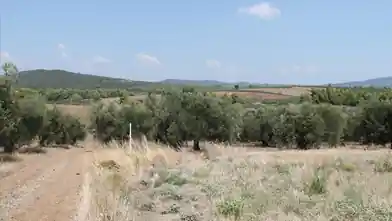 Commercial Plot for sale, Chalkidiki, Ormilia, Chalkidiki