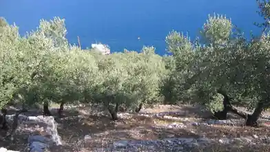 Εμπορικό οικόπεδο προς πώληση, Νίσι, Βαθύ, Ithaki