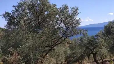 Commercial Plot for sale, Chalkidiki, Panagia, Chalkidiki