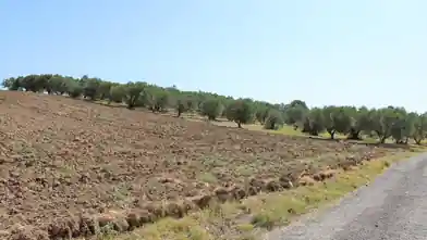 Działka komercyjna na sprzedaż, Pieria, Methoni, Pieria