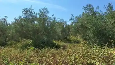 Działka komercyjna na sprzedaż, Kerkira, Feakes, Kerkira