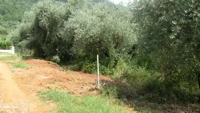Commercial Plot for sale, Thasos Regional Unit, Thasos, Thasos Regional Unit