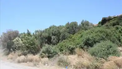 Działka komercyjna na sprzedaż, Jednostka regionalna Chania, Pelekanos, Chania