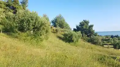 Commercial Plot for sale, East Attica Regional Unit, Municipality of Pallini, Chalkidiki