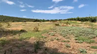 Commercial Plot for sale, Chalkidiki, Ormilia, Chalkidiki