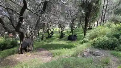 Commercial Plot for sale, Corfu, Benitses, Corfu