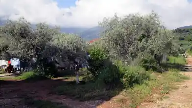 Commercial Plot for sale, Thasos, Chrisi Akti, Thasos