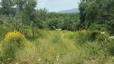 Εμπορικό οικόπεδο προς πώληση, Κέρκυρα, Φαίακες, Kerkira