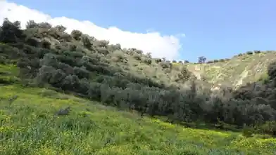 Commercial Plot for sale, Iraklio, Iraklio