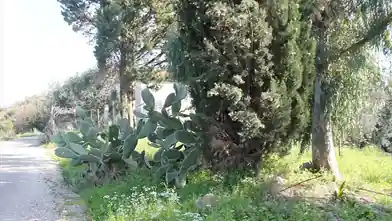 Działka komercyjna na sprzedaż, Kerkira, Thinali, Kerkira