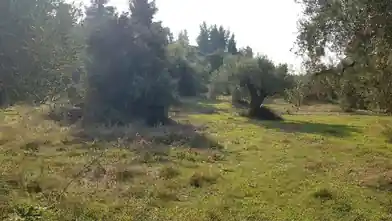 Commercial Plot for sale, East Attica Regional Unit, Municipality of Pallini, Chalkidiki