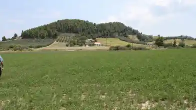 Działka komercyjna na sprzedaż, Halkidiki, Półwysep Chalcydycki, Halkidiki