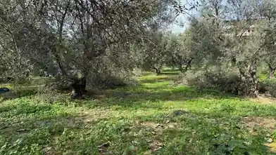 Działka komercyjna na sprzedaż, Jednostka regionalna Chania, Stalos